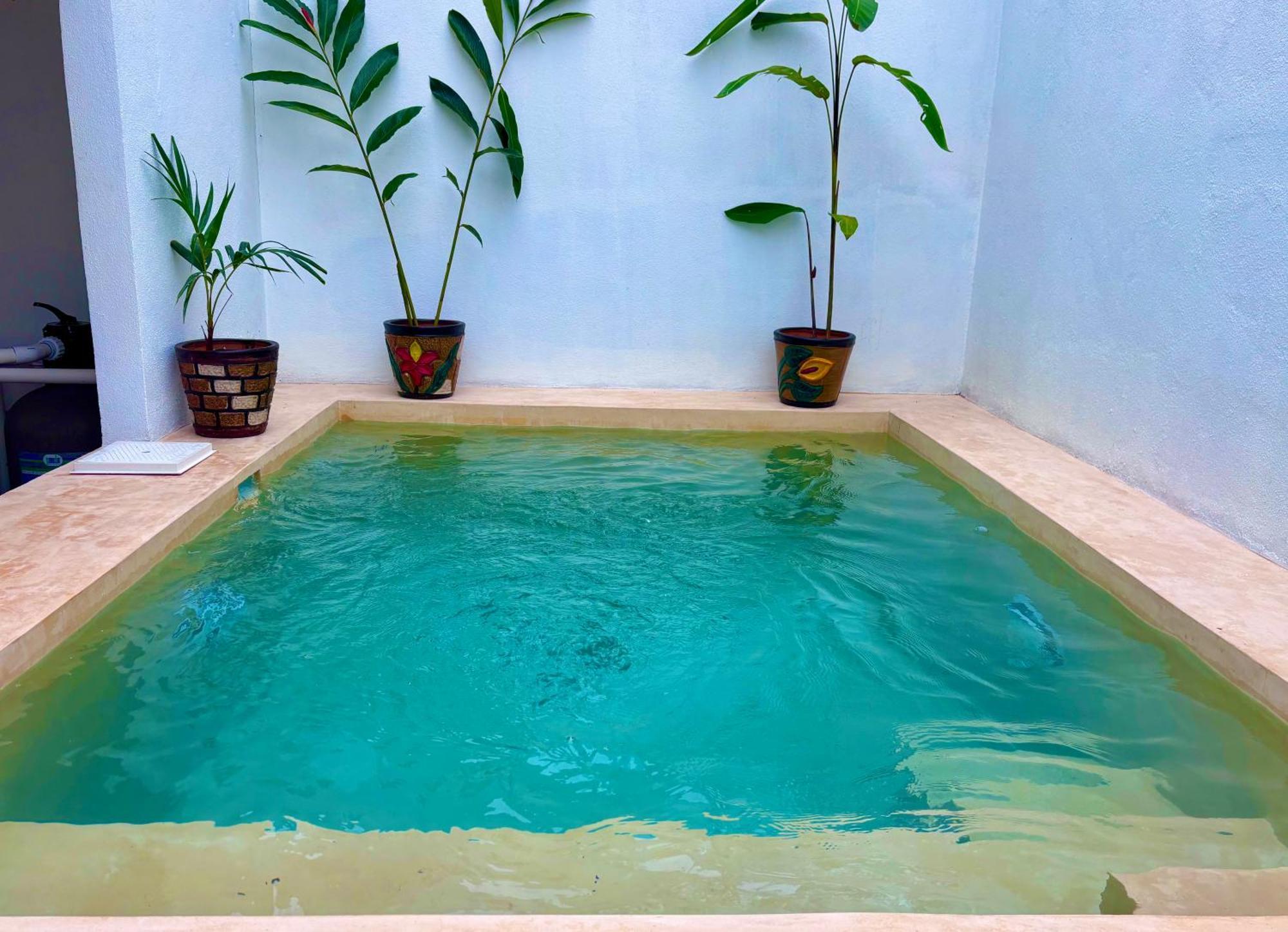 Excelente Alberca Privada En Residencial Privado, Gym, Asador Villa ซิวดัด วัลเลส ภายนอก รูปภาพ