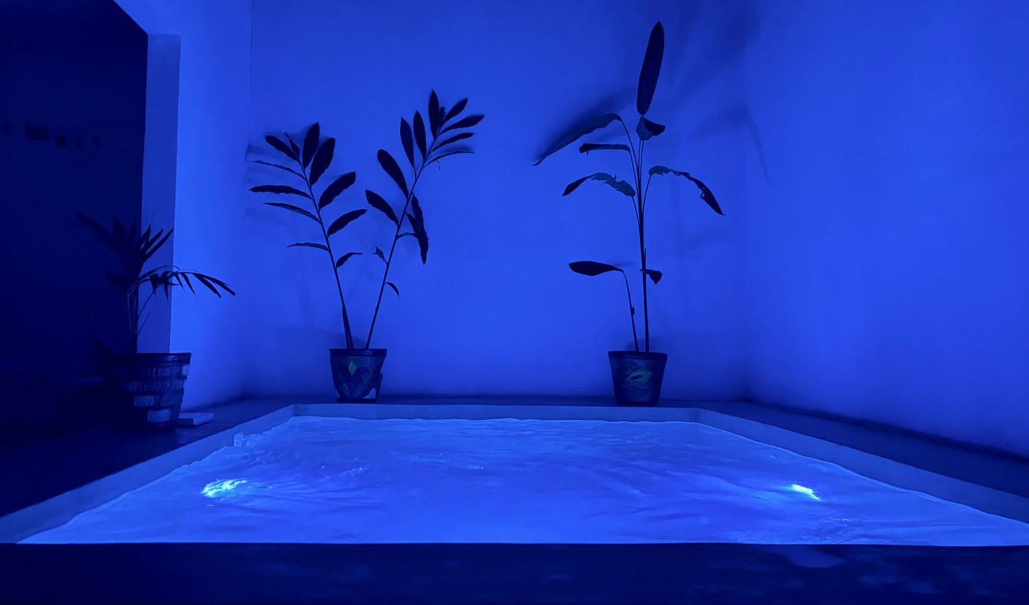 Excelente Alberca Privada En Residencial Privado, Gym, Asador Villa ซิวดัด วัลเลส ภายนอก รูปภาพ