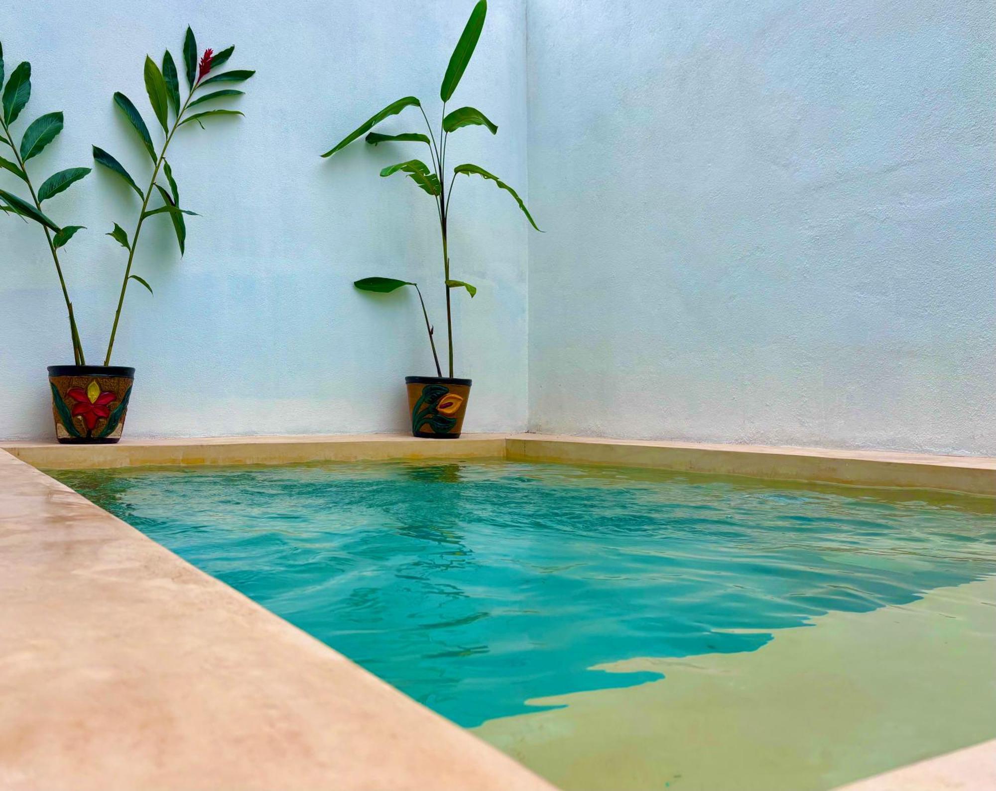 Excelente Alberca Privada En Residencial Privado, Gym, Asador Villa ซิวดัด วัลเลส ภายนอก รูปภาพ